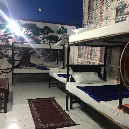 Brisbane Lodge & Hostel Kochi Zewnętrze zdjęcie