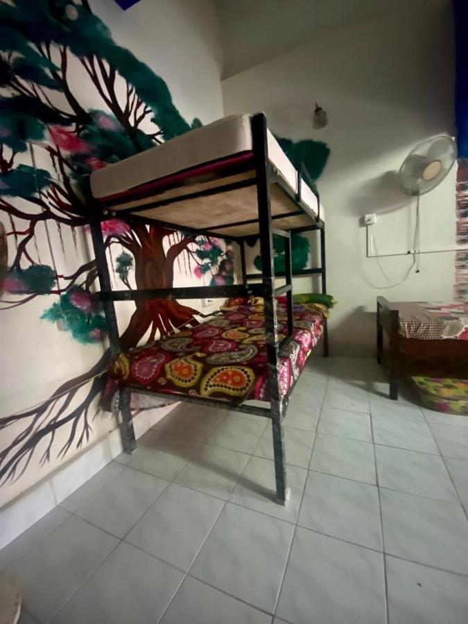 Brisbane Lodge & Hostel Kochi Zewnętrze zdjęcie